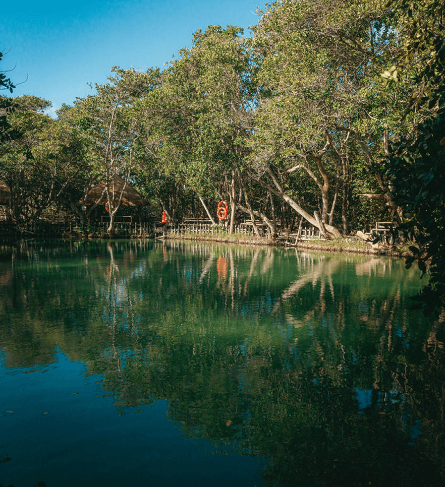El Corchito: Un oasis entre manglares y cenotes